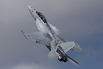 F/A-18F Super Hornet