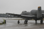 81st FS A-10A Thunderbolt II