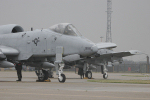 81st FS A-10A Thunderbolt II