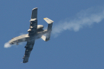 81st FS A-10A Thunderbolt II