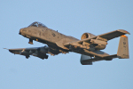 81st FS A-10A Thunderbolt II