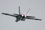 F/A-18F Super Hornet