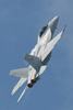 F/A-18F Super Hornet