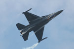 F-16CJ Fighting Falcon