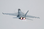 F/A-18F Super Hornet