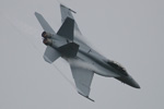 F/A-18F Super Hornet