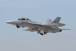 F/A-18F Super Hornet