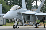 F/A-18F Super Hornet