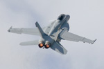 F/A-18F Super Hornet