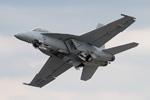 F/A-18F Super Hornet