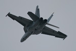 F/A-18F Super Hornet