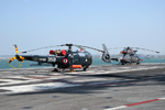 Alouette III and Dauphin II