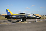 100 Sqn Hawk T.1