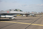 Danish Vipers