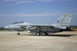 VF-32 Swordsmen