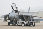 Gypsy 111, F-14B Tomcat