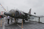 3 Sqn Harrier GR.3