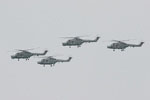 815NAS Lynx HAS.3/HMA.8s