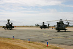 The Rotary Line Up