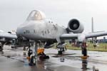 81FS A-10A Thunderbolt II